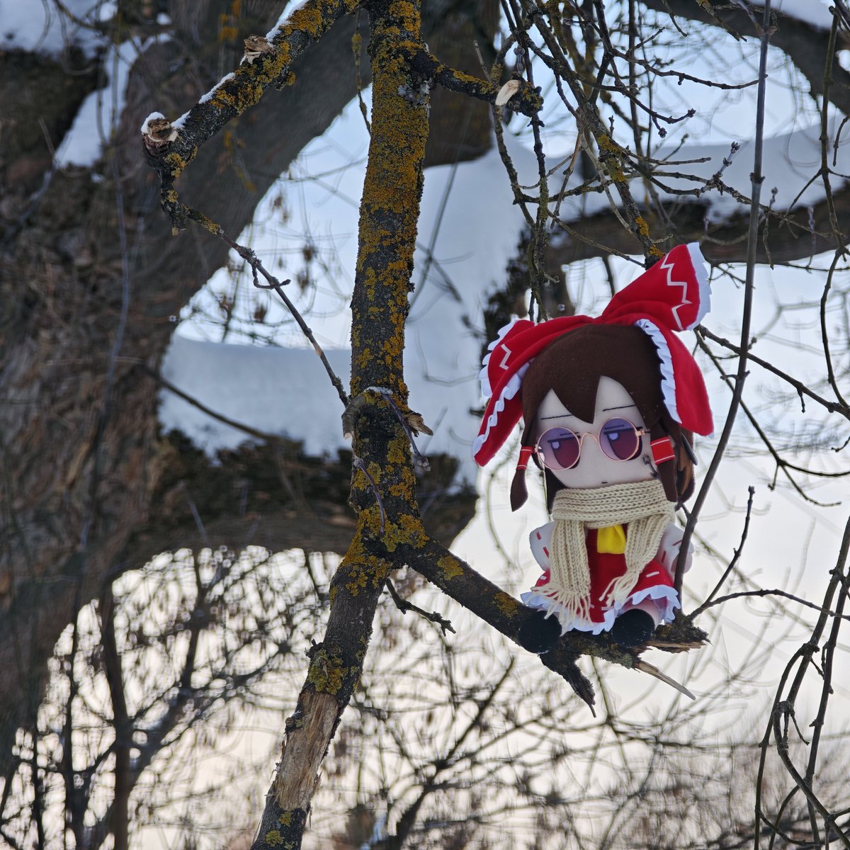 fumovstvo tweet media