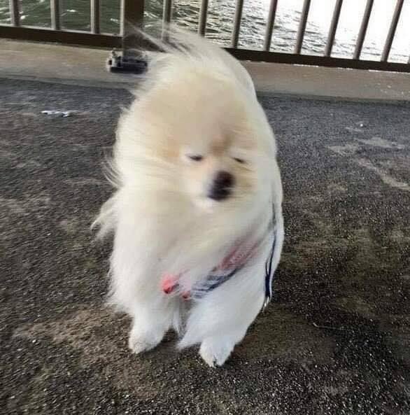 gammzo1's tweet image. 사실 전..
주스엿어요 

친구할 레이디..
드러와조
세요..

#블루레이디 #블루레이디트친소