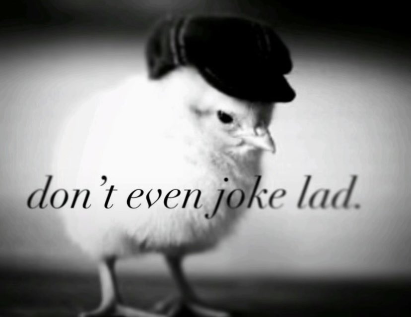 Football Merchant tweet media