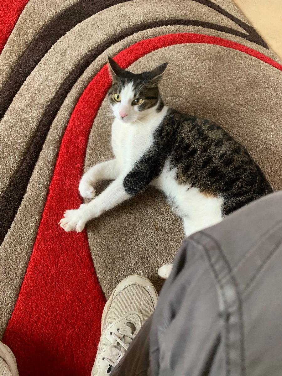 Wasp mcwasp tweet media