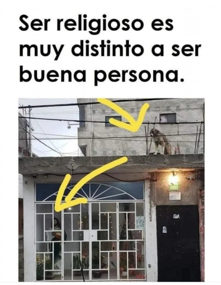 Patricia Diaz Coroas tweet media