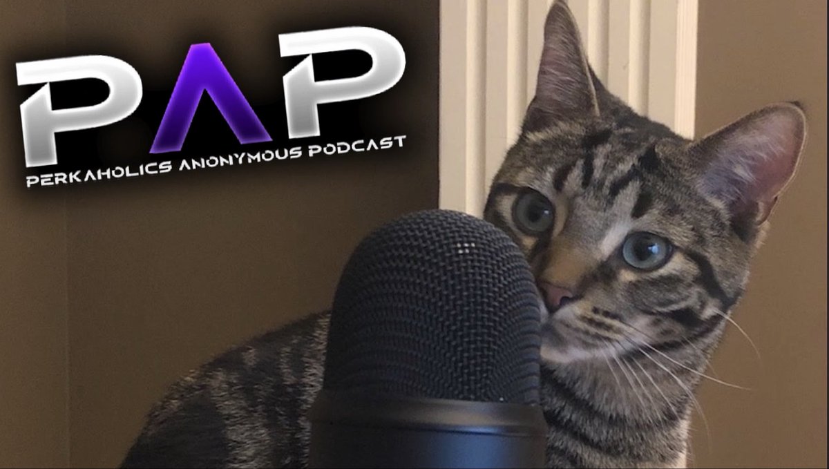 What Does Paradox Junction NEED to SUCCEED? 

📖 Heavy Emphasis on Story

🥀 Amalgam Elite Enemy 

😵‍💫 Elemental Rai-K’s

Perkaholics Anonymous Podcast Episode 29 is LIVE!