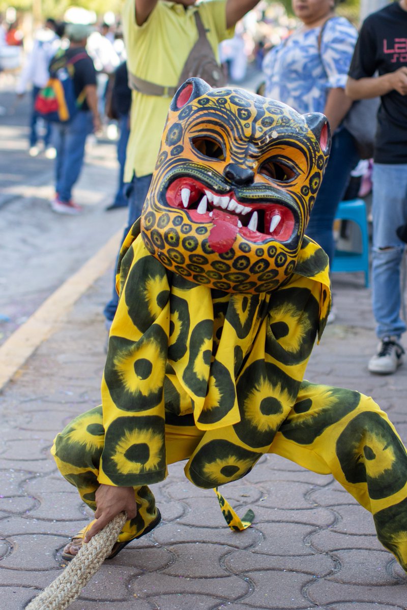 AntorchaPuebla_'s tweet photo. La organización de los mexicanos es la única manera
de combatir los males del país: Aquiles Córdova
 * ⁠Inauguran Feria Tecomatlán 2026, que juntará a más de 130 mil mexicanos del 15 al 22 de febrero

Completo en: https://t.co/dg10tuqkYo https://t.co/TFsvY2fc0o