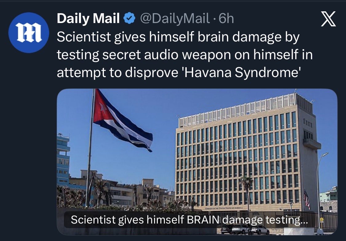 m4rg1n4L tweet media