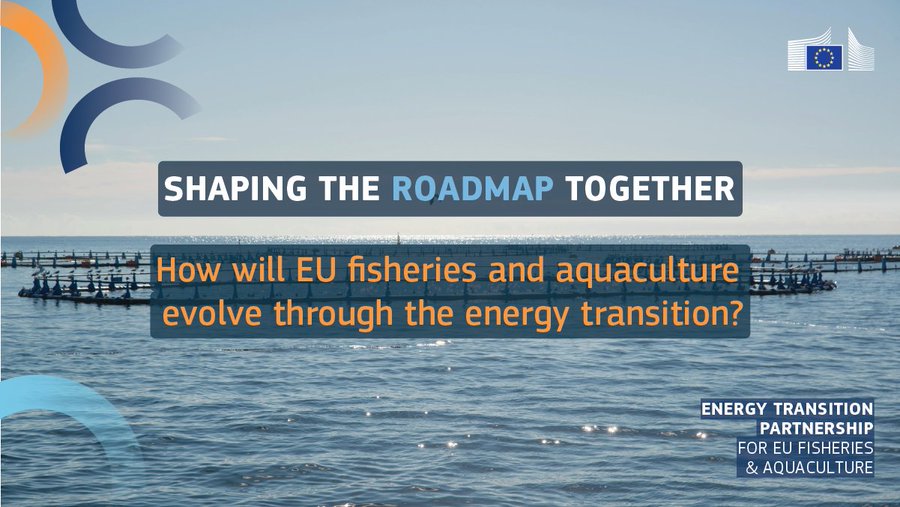 EU Atlantic Strategy tweet media