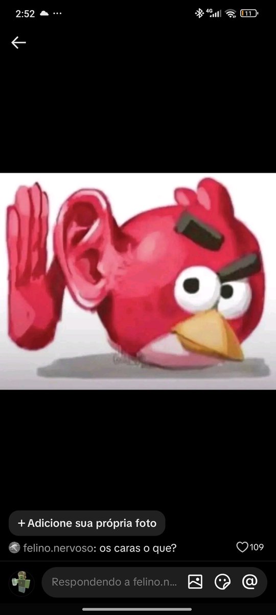 novais tweet media