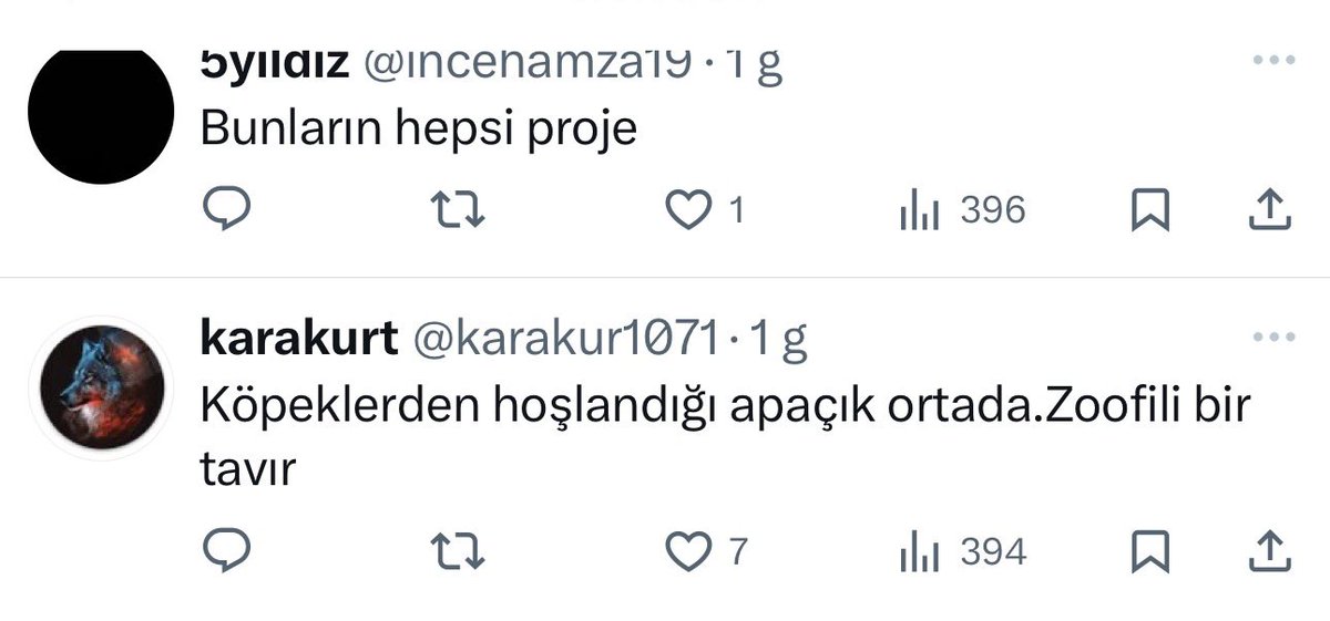 ceylan ertem 🩵 tweet media