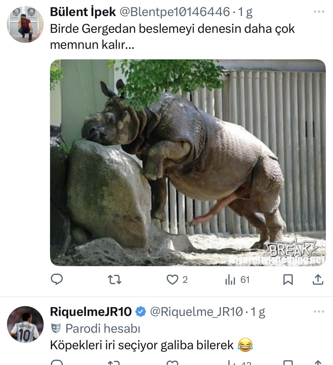 ceylan ertem 🩵 tweet media