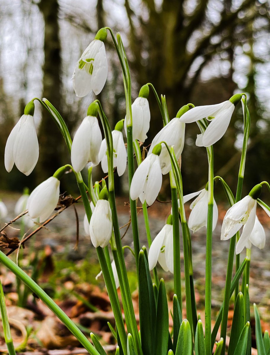 PAUL MOANE tweet media