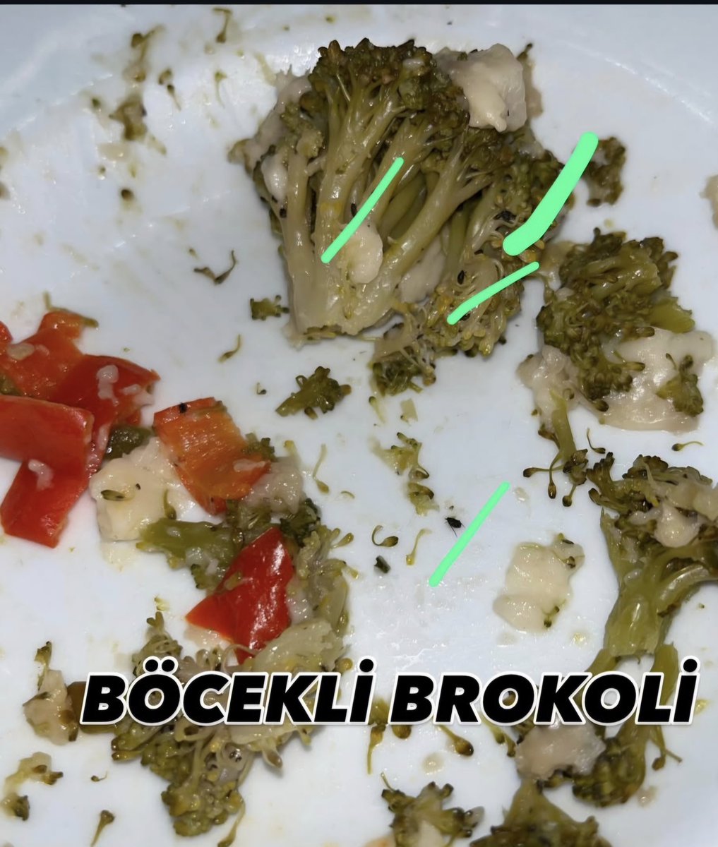 canyigit3595's tweet photo. İzmir Asmaçatı AVM @CarrefourSA Lezzet Arası restoranında önümüze gelen manzara bu! "Taze ve güvenilir" dediğiniz yemeklerin içinden böcekler çıkıyor. İnsan sağlığıyla oynamak bu kadar basit mi? Bir daha asla adım atmam, herkes görsün bu rezaleti
​@TCTarim @izmirbld
#CarrefourSA https://t.co/aJJ9rCpvGb