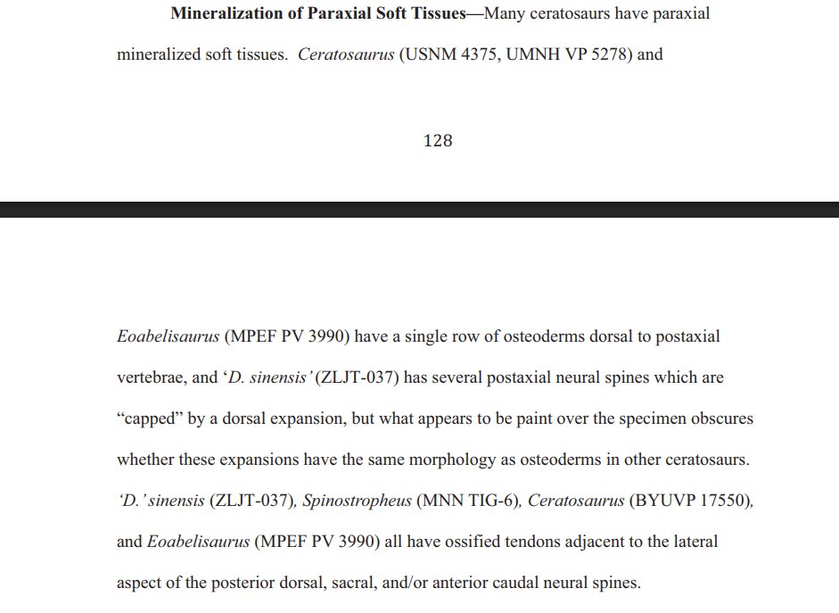 Probably Glaive tweet media