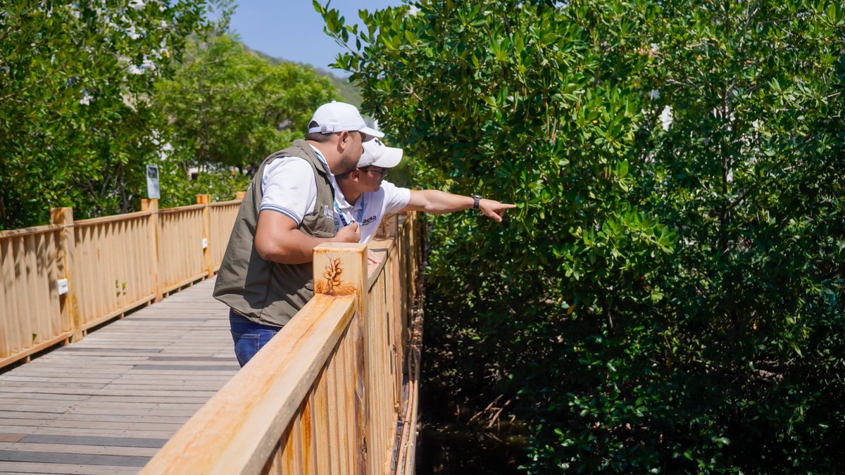 DADSA Santa Marta tweet media