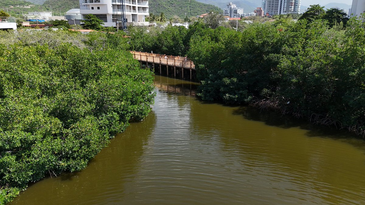 DADSA Santa Marta tweet media