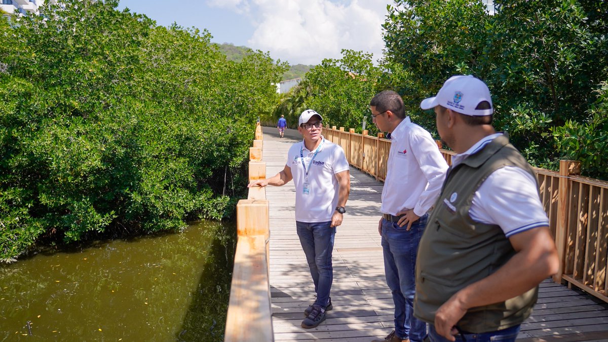 DADSA Santa Marta tweet media