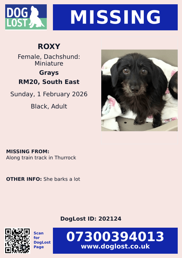 millypod1's tweet photo. 🆘1 FEB 2026 #Lost Roxy #ScanMe #StillMissing 
Dachshund: Miniature Female #SausageArmy 
Along Train Track in #Thurrock #RM20
#Grays #GreaterLondon
https://t.co/z89oTfsQX6 https://t.co/ghP6CZyCVQ
