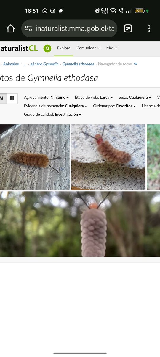 cuchita ✿ tweet media