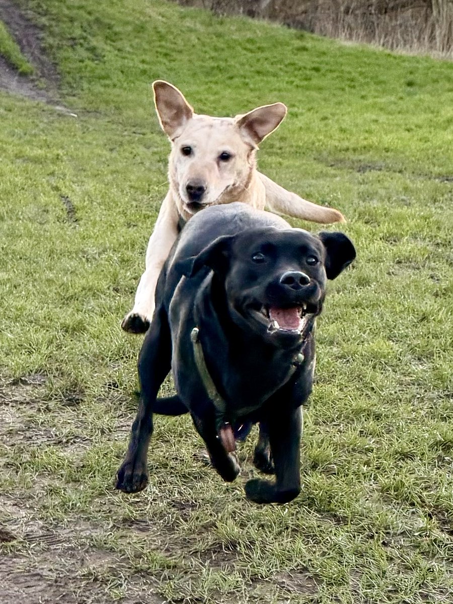 kwoade's tweet image. woosh 💨