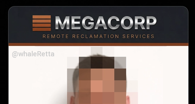 whaleRetta's tweet photo. If you're in crypto, pivot to remote drone piloting. @megacorphq https://t.co/FDcOHy43ZF