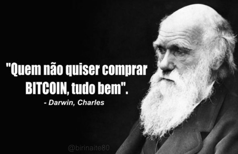 brugott's tweet photo. @MedicoLiberdade @leiatheinvestor https://t.co/IeunyXpqq6