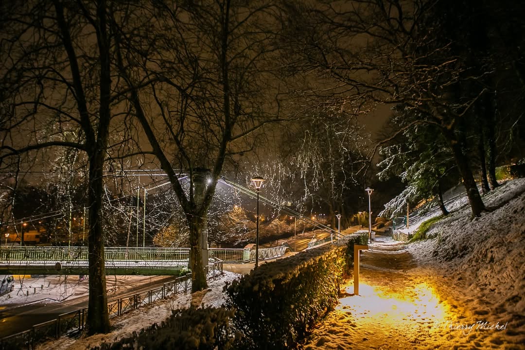 Thierry michel photographie tweet media