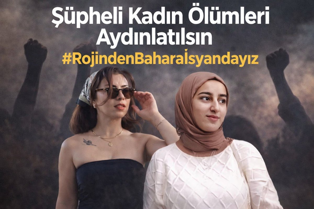 -Rojin Kabaiş 18 gün sonrq Van Gölü kıyısında bulunduğunda ;
 Ailesine hiç bir resmi rapor,Adli Tıp incelemesi,Otopsi olmadan İntihar dayatması yapıldı bunu kabullenmeleri için sistematik algı operasyonları ve baskı yapıldı...

-Bahar Taş ailesinin avukatları yaptığı açıklamada,