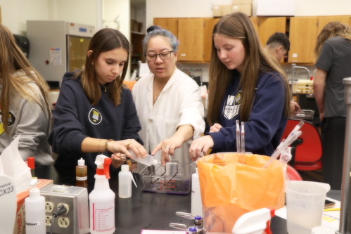 Department of Microbiology and Immunology tweet media