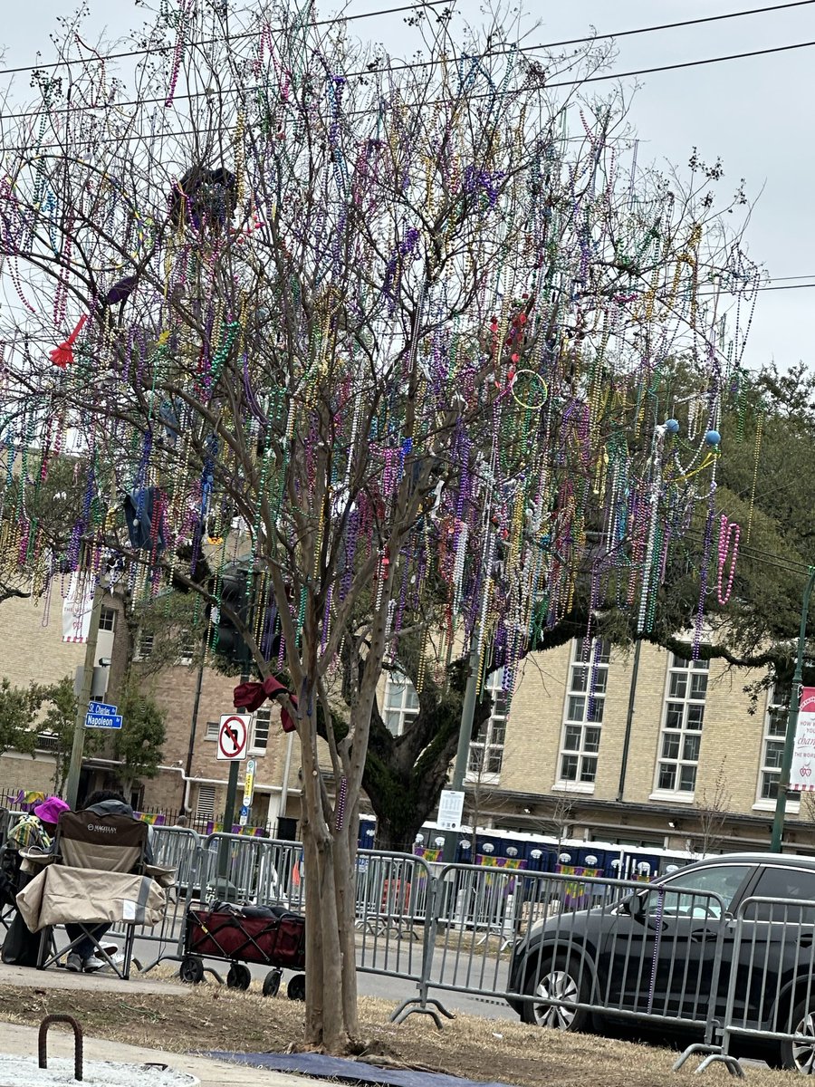 BasinStRecords's tweet photo. We only have this species of tree in New Orleans. #LundiGras #MardiGras

Get your music! 🎶 Link in bio to our complete catalog of New Orleans favorites at your favorite stores and streams. https://t.co/Qsfhnp2Qmv
