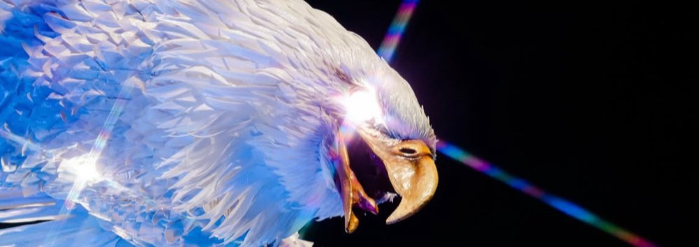 Você vê a dimensão do que é a G.R.E.S Portela quando TODOS tentam diminuir o desfile da maior escola de samba do mundo a erros isolados.

Podem chorar, a Portela é uma entidade na Sapucaí, não precisa de carro alegórico, nem de muito luxo.

Basta uma Águia alterneira.