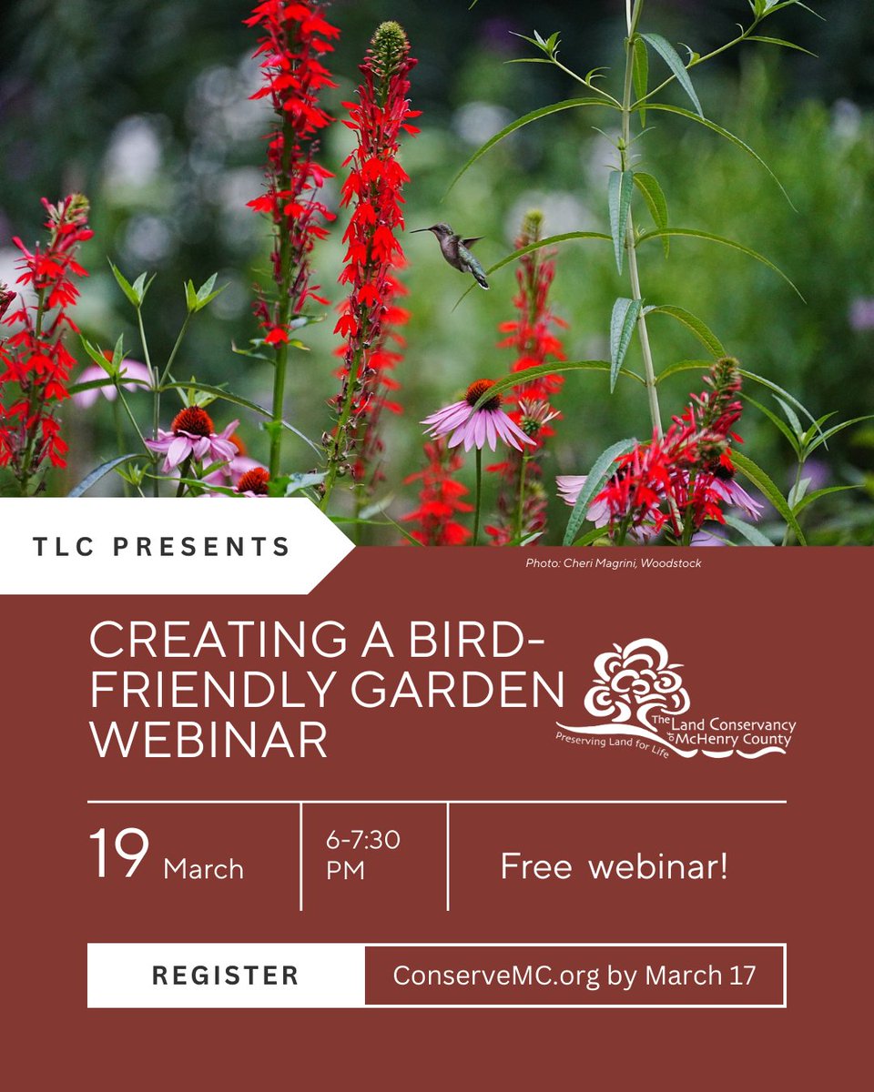 The Land Conservancy tweet media