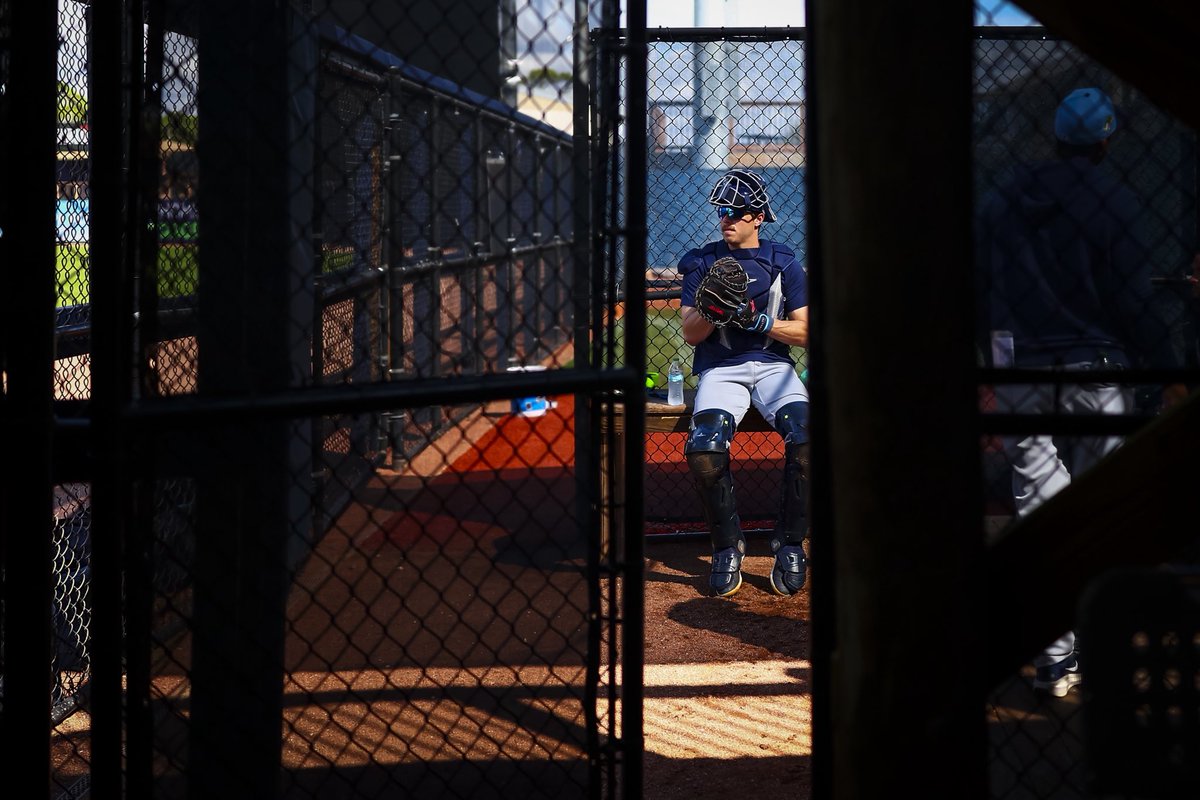 Rays de Tampa Bay tweet media