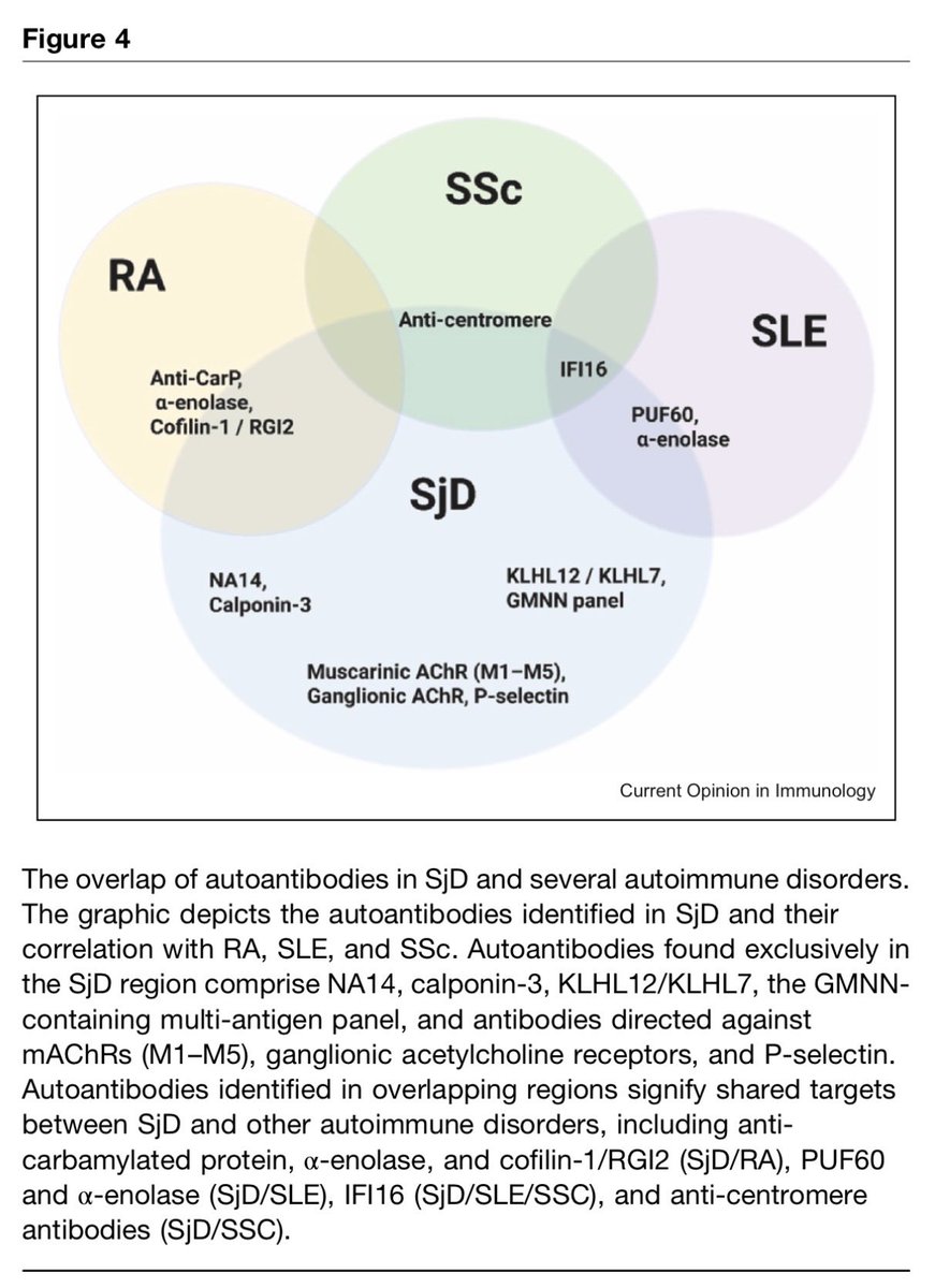 LastManStand85's tweet image. New autoantibodies in Sjögren's disease
#Rheumatology #MedTwitter These findings strongly suggest that a multi-marker panel approach is the most promising strategy for developing a new diagnostic test for seronegative SjD…