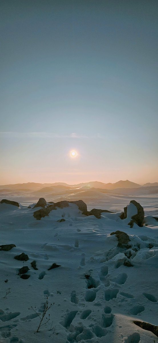 Mathias Ball+ﾟ*｡:ﾟ+ | illustrator open for work 🍊 tweet media