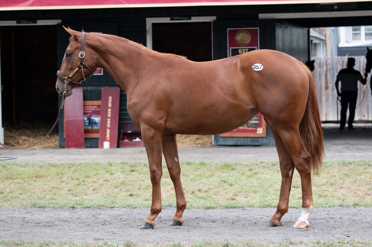 TaylorMadeSales's tweet photo. #WEEKENDWINNER: #TMCONSIGNED ATLANTIS QUEEN ππ± closes to win the Nellie Morse S. at @LaurelPark by over 4 lengths! Congrats to all of the connections! #TaylorMadeSales
O: Pocket 3's Racing LLC
B: ZBS Thoroughbreds, LLC https://t.co/CKKPAGF7OI