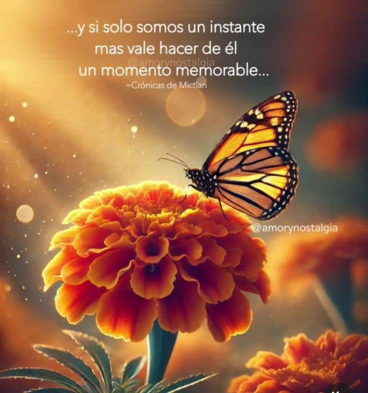 avanzandoacasa's tweet photo. https://t.co/wQfyYvenUl