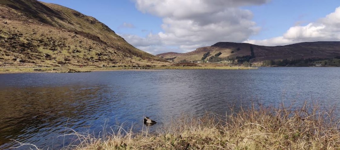 Was driving most of today, but got a breath of fresh air at Lough Tailt - beautiful colouring in the area #100daysofwalking #round6crew
