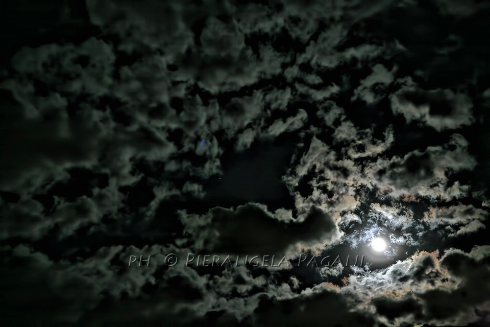 @ferrarisergio4 tweet media