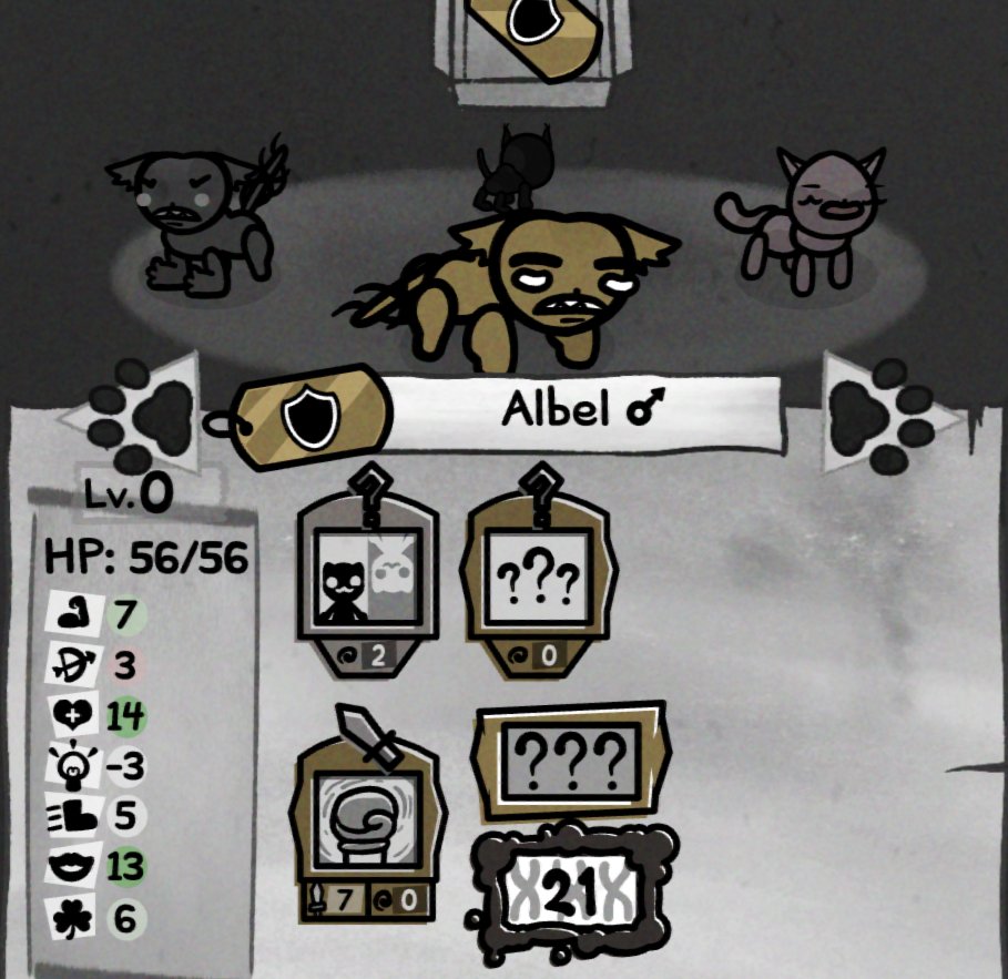 holy shit this cat dumb as fuck 😭😭