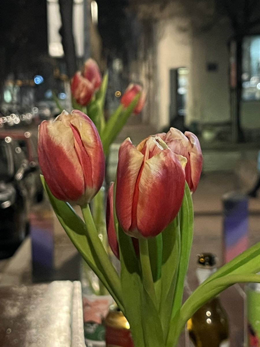 goranpandza's tweet image. From studio to the home “photos” :)

#Belgrade #Serbia #skart #fića #fiat #parlament