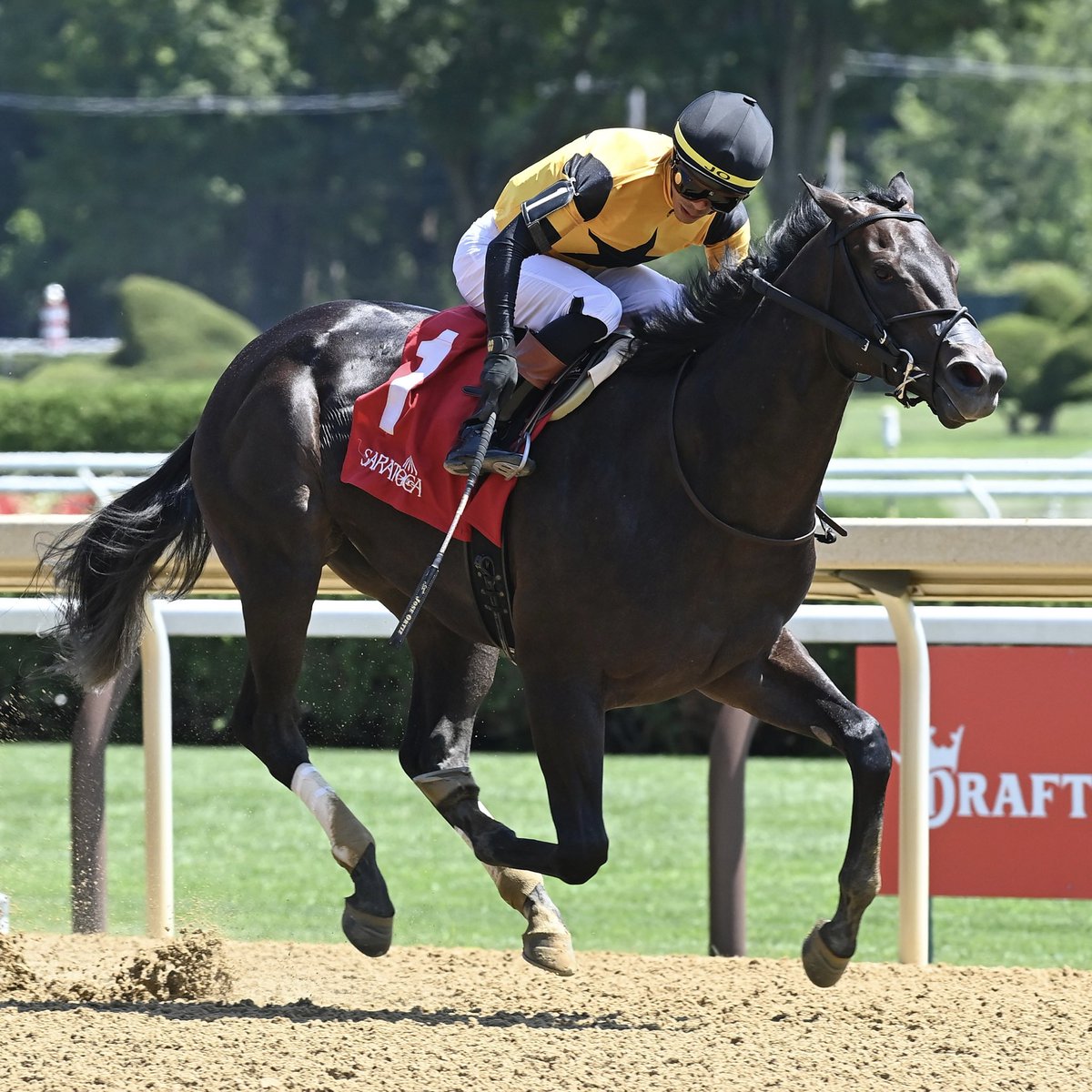 NYRABets's tweet photo. 🇺🇸 President's Day Racing kicks off at 1:30 PM ET @OaklawnRacing!

Don’t miss EWING (6-5), who looks to make his return a winning one in the OZARK STAKES for @westpointtbred and @lmgriffjohnson!

Preview ⏯️ https://t.co/eKLuPoQFMP
Bet 🏇 https://t.co/SHxd4wRdC9 https://t.co/yUTGzilnzr