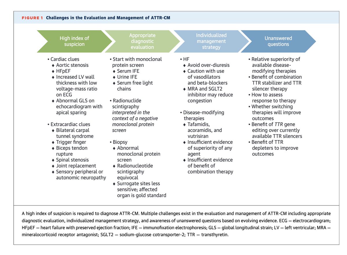 Edgardo Alania tweet media