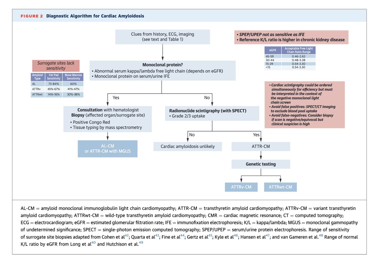 Edgardo Alania tweet media