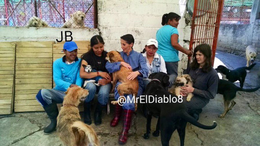 JORGE BECERRIL JB/8 tweet media