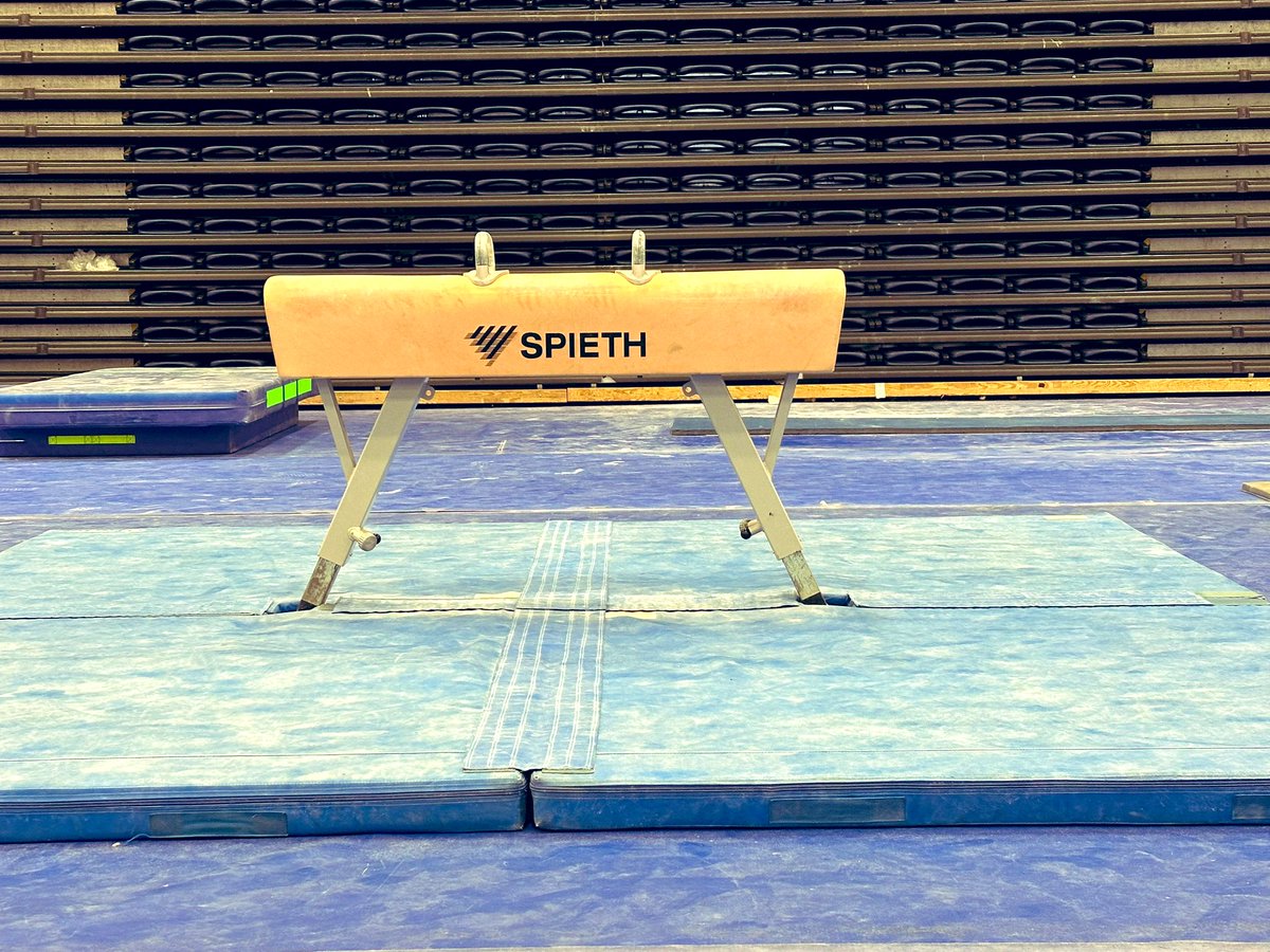 Happy year of the horse!