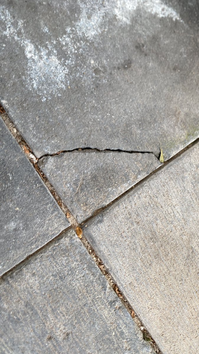 Fachry Dirgafahlavy tweet media