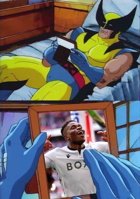 Stankowskii NFFC tweet media