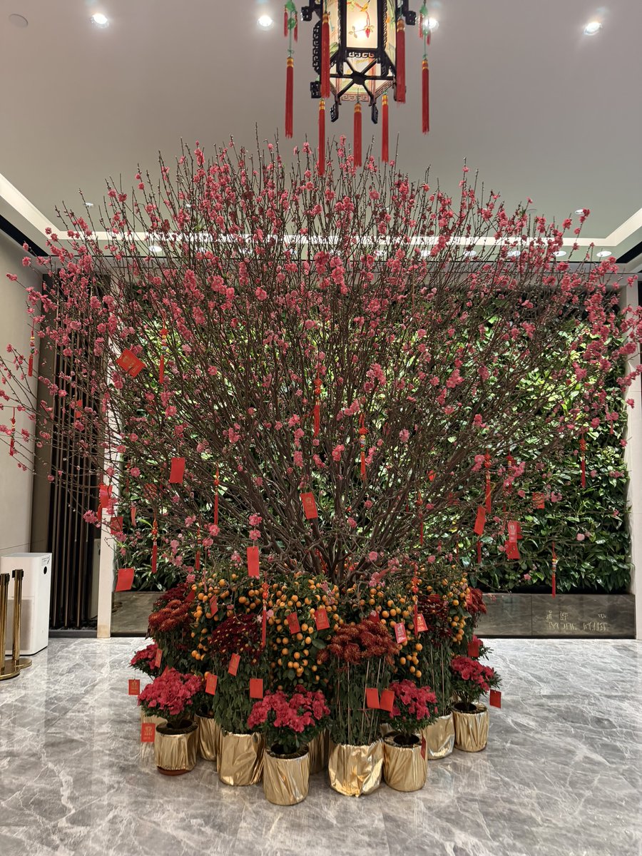 Alex Radu /Acc tweet media