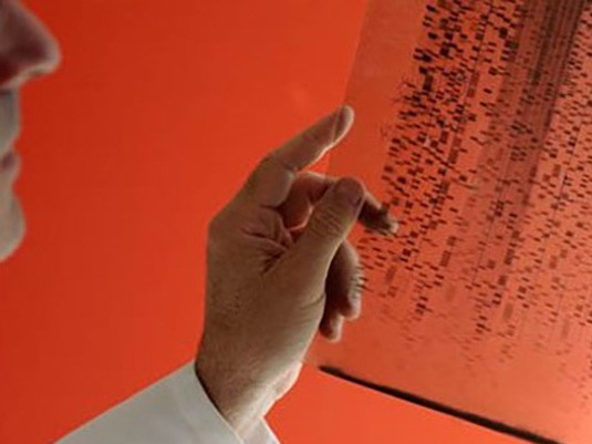 CEASSBU's tweet photo. Stony Brook University's Biomedical Informatics Department (BMI) is recognized for its interdisciplinary approach to advancing healthcare through technology and data-driven solutions.

To learn more, please visit: https://t.co/Q7lY0ovQyQ

#BiomedicalInformatics #StonyBrookU https://t.co/UIlm8tyGL5