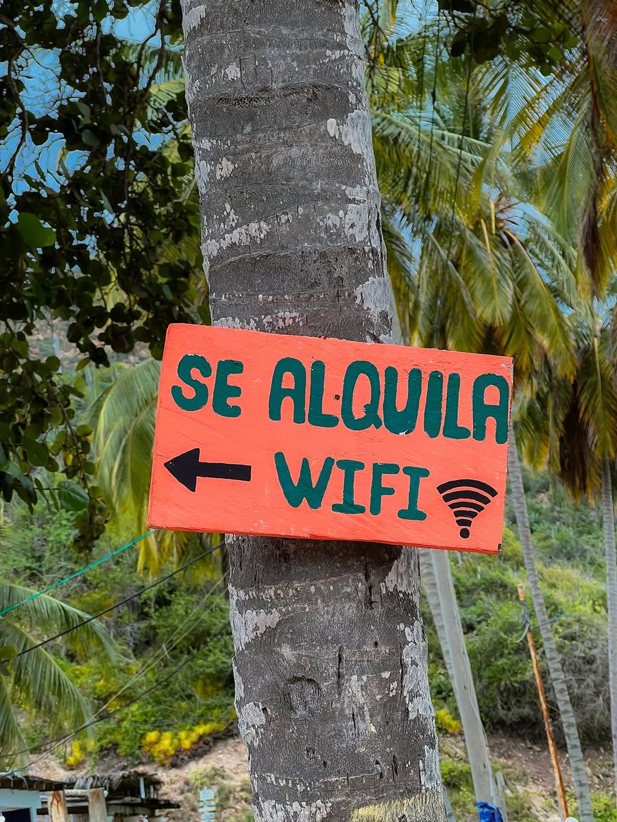 Catica Craft Chocolate tweet media