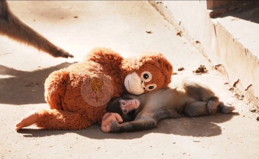 Erik Crypto🤕 (@ErikTorger6265) / Posts / X