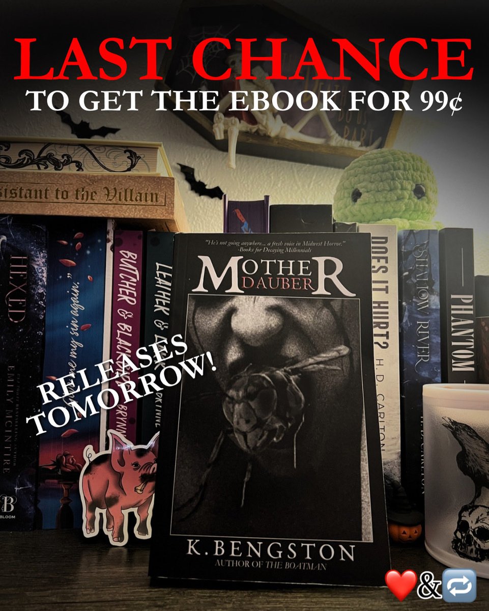 KBengstonWrites ✍️ tweet media